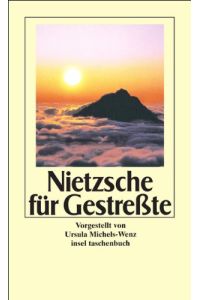 Nietzsche für Gestreßte (insel taschenbuch)