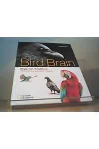 Bildband Vögel: Überflieger. Vögel mit Köpfchen. tDie faszinierende Erforschung der gefiederten Intelligenz.