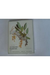 Orchidaceae Brasilienses. Band II