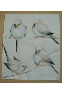 Vögel in posierlicher Stellung, Finken, Meisen, signiertes Aquarell, 1977