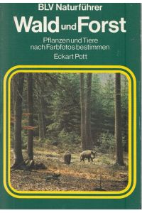Wald und Forst.   - Pflanzen und Tiere nach Farbfotos bestimmen,