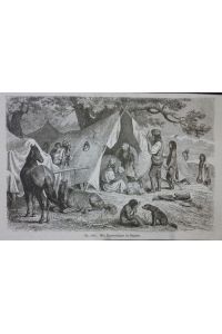 Orig. Holzstich: Zigeuner - Ein Zigeunerlager in Ungarn.   - Nr. 5331.