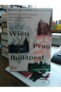 Blütezeit der Habsburgermetropolen.   - Urbanisierung, Kommunalpolitik, gesellschaftliche Konflikte (1867 - 1918). Wien Prag Budapest.