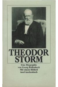 Theodor Storm : eine Biographie ; mit einem Bildteil.   - Georg Bollenbeck / Insel-Taschenbuch ; 1347