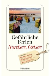 Gefährliche Ferien - Nordsee, Ostsee: mit Bernhard Schlink, Henning Mankell und Nis-Momme Stockmann (detebe)