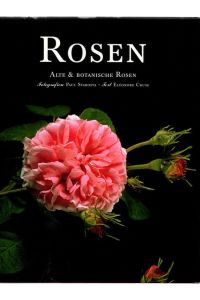 Rosen.   - Alte & Botanische Rosen.