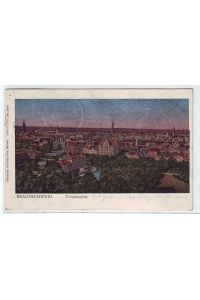 44245 Lunakarte Braunschweig Totalansicht 1906