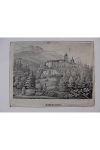 Orig. Lithographie: Hohenaschau. (Chiemgau).   - Blick auf das Schloss, im Hintergrund die Berge.