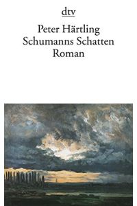 Schumanns Schatten: Variationen über mehrere Personen, Roman.