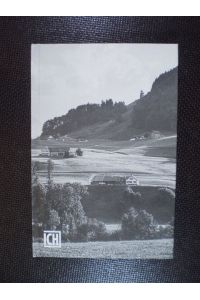 Ein Porträt aus Appenzell: Stichwahl in Gontenbad