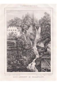 Eine Ansicht in Hallstadt. Orig. Lithographie von J. Stießberger nach Georg Pezolt.