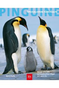 Pinguine - Spezialisten fürs Kalte: Neues über die sympathischen Vögel auf dem Eis  - Neues über die sympathischen Vögel auf dem Eis