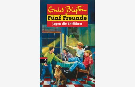 Fünf Freunde, Neubearb. , Bd. 13, Fünf Freunde jagen die Entführer (Einzelbände, Band 13)