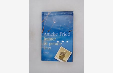 Immer ist gerade jetzt : Roman / Amelie Fried
