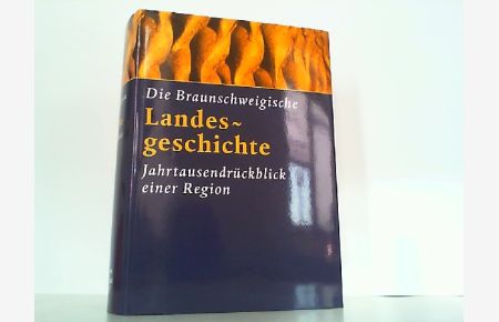 Die braunschweigische Landesgeschichte - Jahrtausendrückblick einer Region.