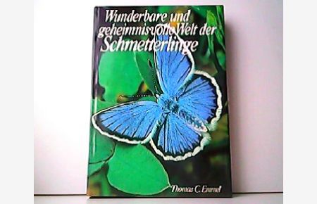 Wunderbare und geheimnisvolle Welt der Schmetterlinge.