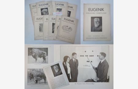 Eugenik. Erblehre. Erbpflege. Neue Folge von Volksaufartung, Erbkunde, Eheberatung. Band 1, Heft 2 (November 1930) - Heft 12 (September 1931) * 11 Hefte (nahezu vollständiger 1. Jahrgang)