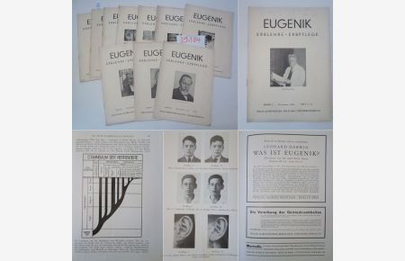 Eugenik. Erblehre. Erbpflege. Neue Folge von Volksaufartung, Erbkunde, Eheberatung. Band 2, Heft 1 (Oktober 1931) - Heft 4 (Januar 1932) und Heft 6 (März 1932) - Heft 11/12 (Dezember 1932) * 11 Hefte (nahezu vollständiger 2. Jahrgang 1931/32)