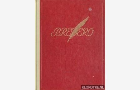 Bredero, roman uit Amsterdams prille bloeitijd