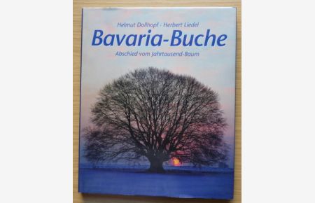 Bavaria-Buche: Abschied vom Jahrtausend-Baum  - Helmut Dollhopf. Herbert Liedel