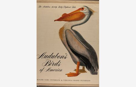 Audubons Birds of America
