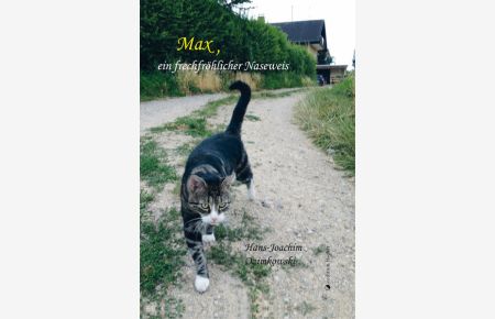 Max, ein frechfröhlicher Naseweis: Gentleman auf Samtpfoten