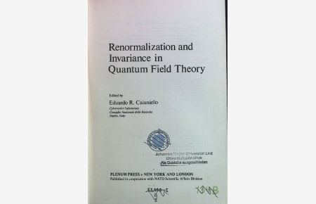 Renormalization and invariance in quantum field theory.   - NATO advanced study institutes series, Series B, Vol.5