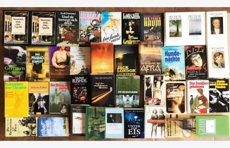 39 Bücher Romane Erzählungen Krimi Thriller Biografie Abenteuer Romantik Buchpaket Paket