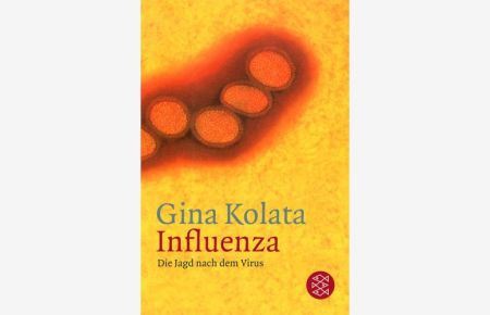 Influenza: Die Jagd nach dem Virus (Fischer Sachbücher)