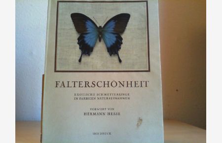 Falterschönheit : Exotische Schmetterlinge in farbigen Naturaufnahmen. Mit Einführung von Adolf Portmann. Vorwort: Hermann Hesse / Iris-Bücher