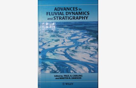 Advances in fluvial dynamics and stratigraphy.