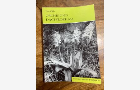Die Gattungen Orchis und Dactylorhiza. Die Orchideen Deutschlands, 3. Teil.
