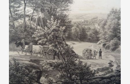Veile. Getönte Lithographie von Hellesen nach Skovgaard bei Baerentzen, um 1855. 24 x 24, 6 cm.