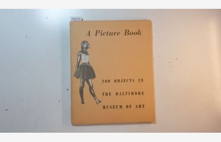 200 objects in the Baltimore Museum of Art : a picture book.