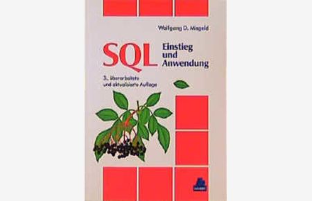 SQL - Einstieg und Anwendung Mit SQL-2, IBM DB2, IBM SQL/DS, Informix SQL, Oracle 3., überarbeitete und aktualisierte Auflage