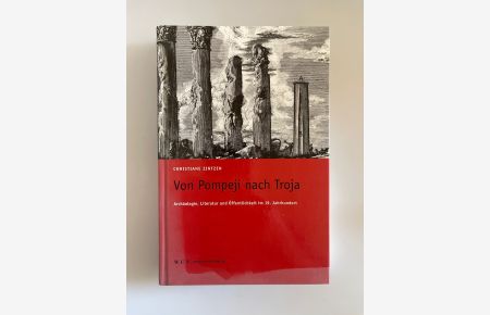 Von Pompeji nach Troja: Archäologie, Literatur und Öffentlichkeit im 19. Jahrhundert (Commentarii: Forschungen zur Literatur- und Kulturgeschichte).