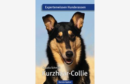 Kurzhaar-Collie. Expertenwissen Hunderassen.