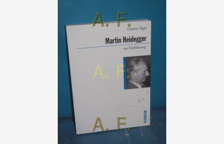 Martin Heidegger zur Einführung  - Zur Einführung , 208