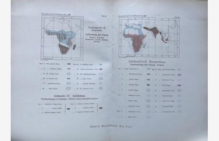 Die geographische Verbreitung der jetzt lebenden Raubthiere. Mit 21 farbig lithogr. Karten.