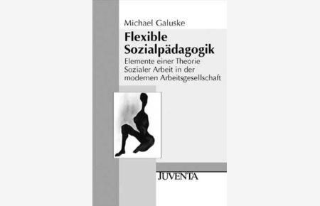 Flexible Sozialpädagogik : Elemente einer Theorie sozialer Arbeit in der modernen Arbeitsgesellschaft.