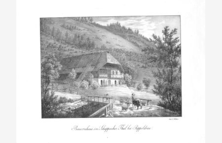 Rippoldsau. - Bauernhaus im Schappacher Thal bei Rippoldsau. Lithographie bei Velten, um 1830. 13, 5 x 18, 8 cm.