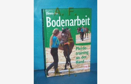 Bodenarbeit : Pferdetraining an der Hand.