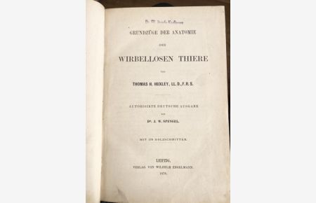 Grundzüge der Anatomie der wirbellosen Thiere. Autorisirte Deutsche Ausgabe von J. W. Spengel. Deutsche.