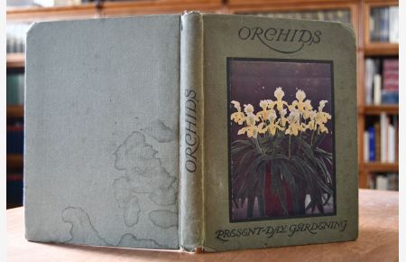 Orchids.   - Present-Day Gardening