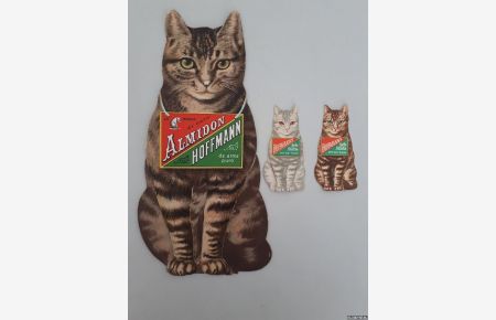 Almidon Hoffmann + 2x Hoffmann's Reis-Stärke mit der Katze