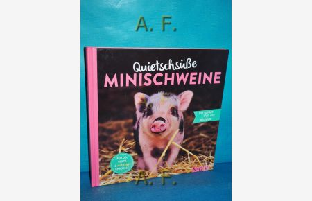 Quietschsüße Minischweine : Die lustige Welt der Minipigs.