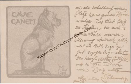 Original Autograph Karte Maximilian Liebenwein an Karl Stechele 19. Juli 1912 /// Autograph signiert signed signee