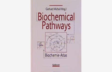 Biochemical Pathways  - Biochemie-Atlas