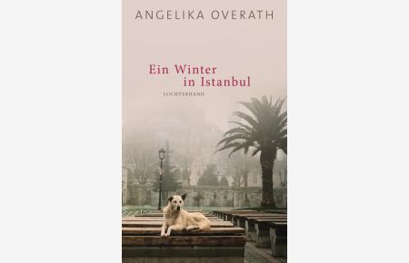 Ein Winter in Istanbul: Roman