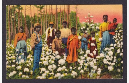 African-Americans on a cotton plant / Baumwollplantage / Black Americana